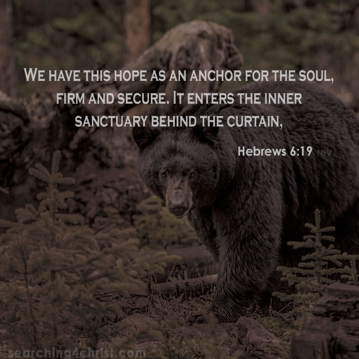 Hebrews 6:19 Inner Sanctuary