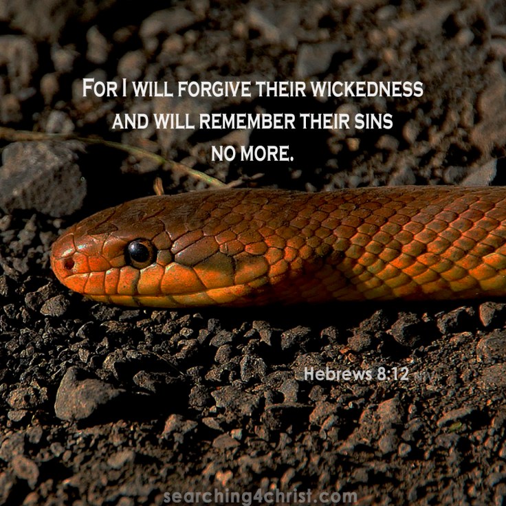 Hebrews 8:12 forgive wickedness