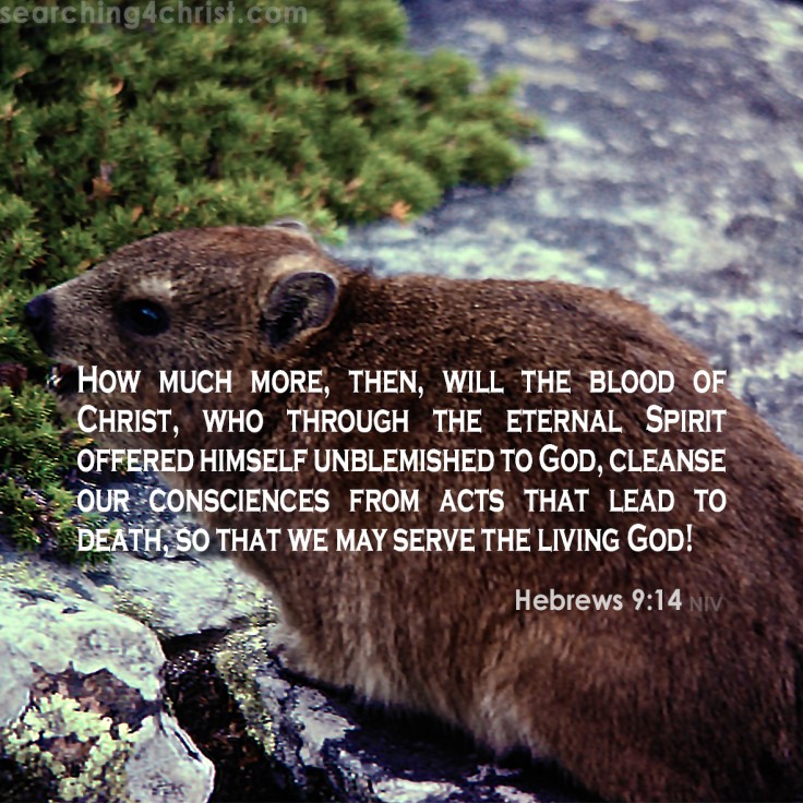 Hebrews 9:14 blood to serve