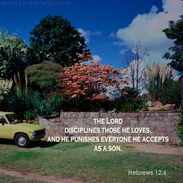 Hebrews 12:6 Discipline
