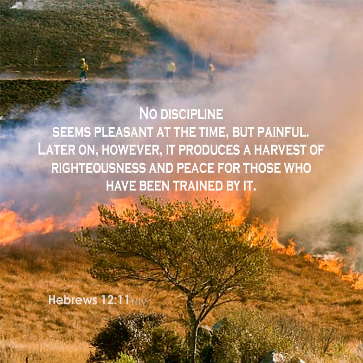 Hebrews 12:11 Trained by Discipline