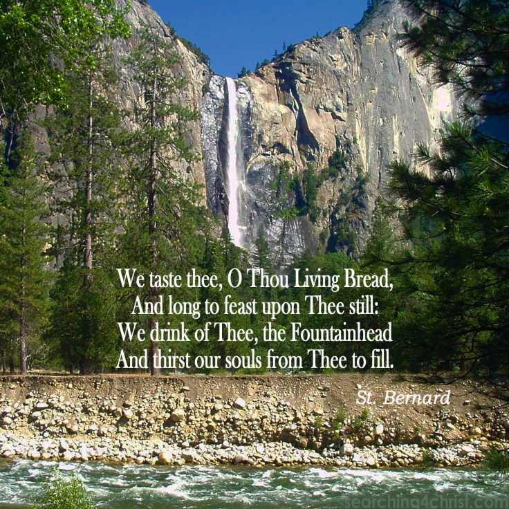 We Taste and We Thirst