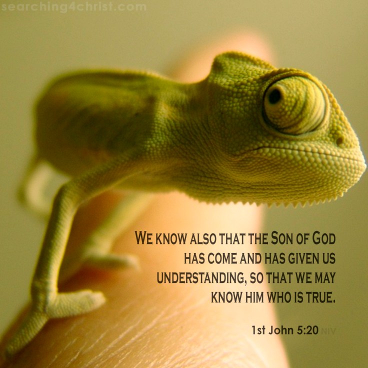 1st John 5:20 Know The True One