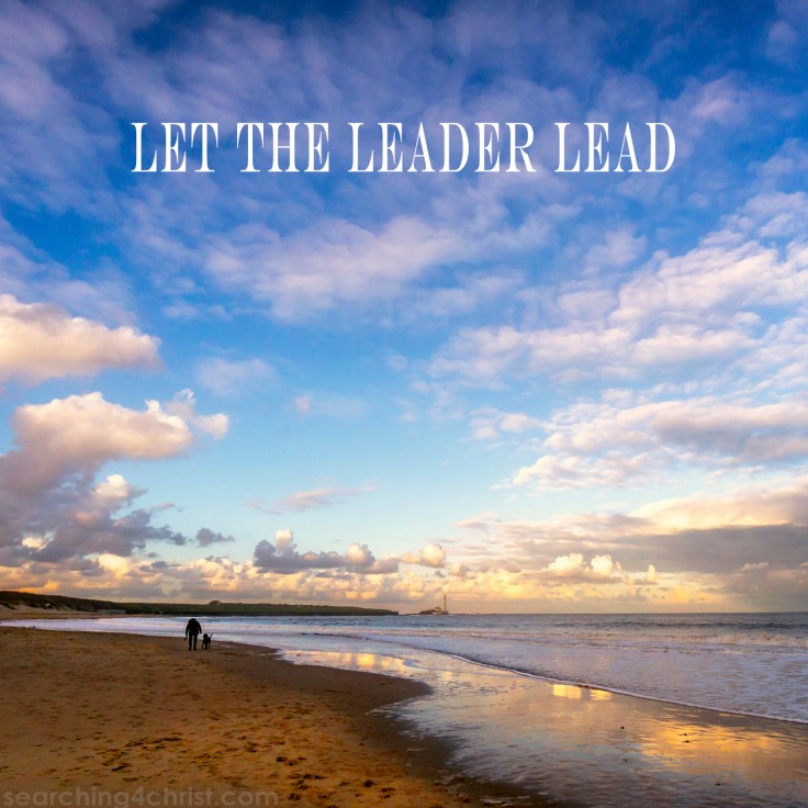 Let the Leader Lead