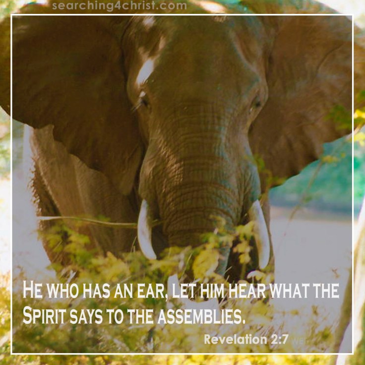 Revelation 2:7 Who Has an Ear
