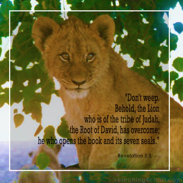 Revelation 5:5 Behold the Lion