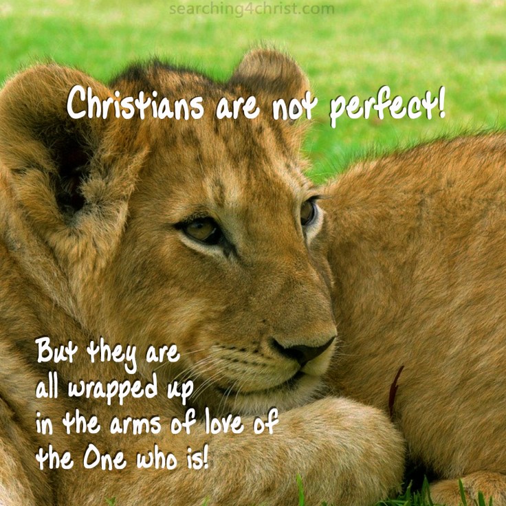 Christians are Not Perfect