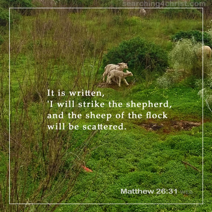 Matthew 26:31