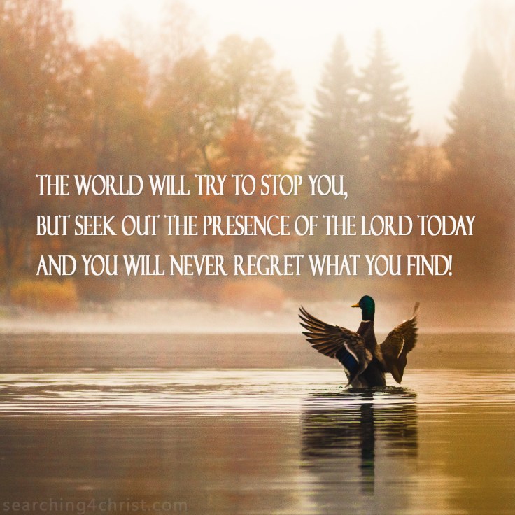 Seek the Lord Despite the World