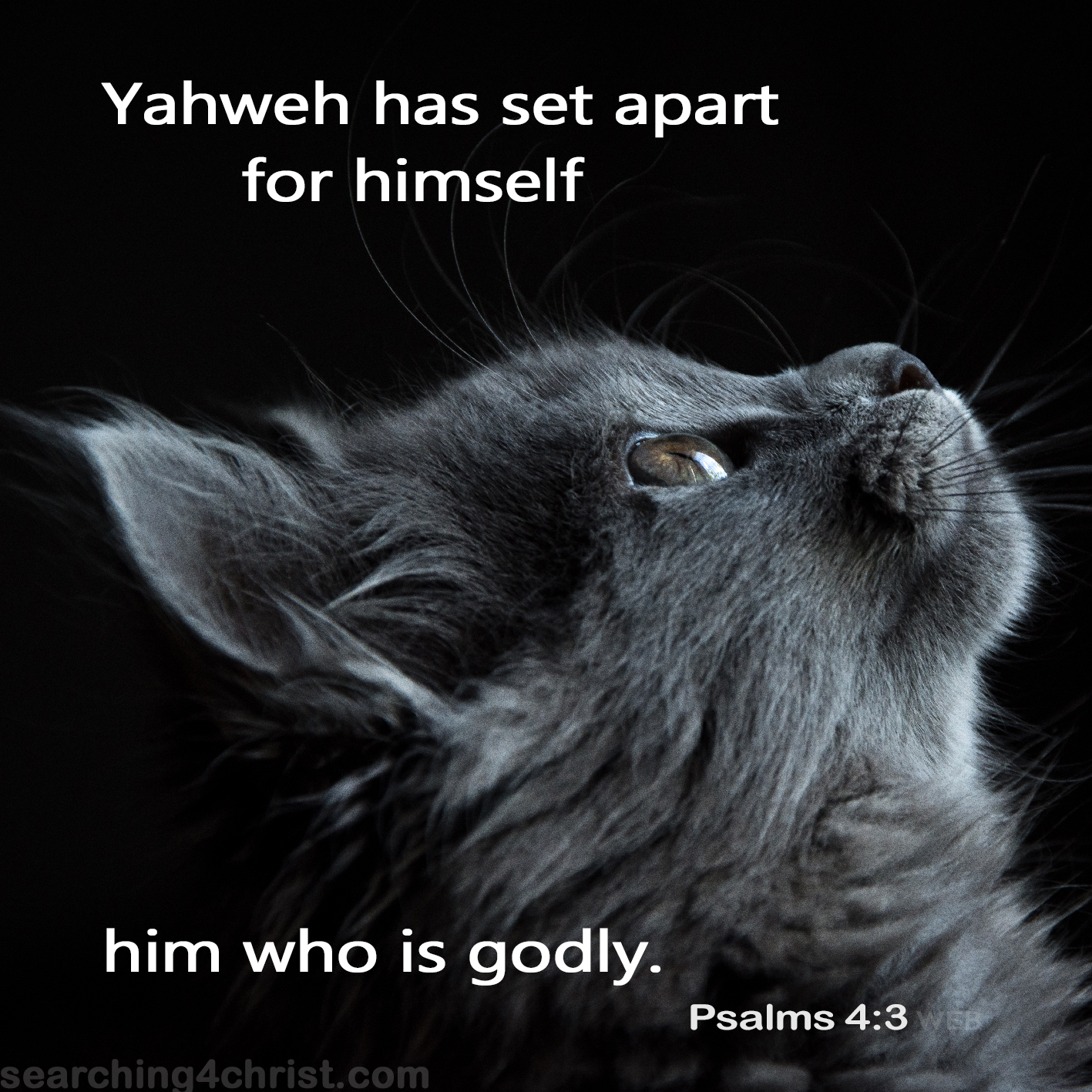 But know that Yahweh has set apart for himself him who is godly: Yahweh will hear when I call to him. Psalm 4:3