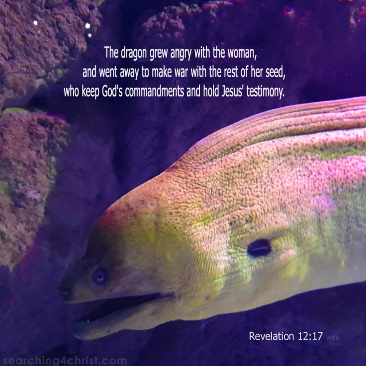 Revelation 12:17