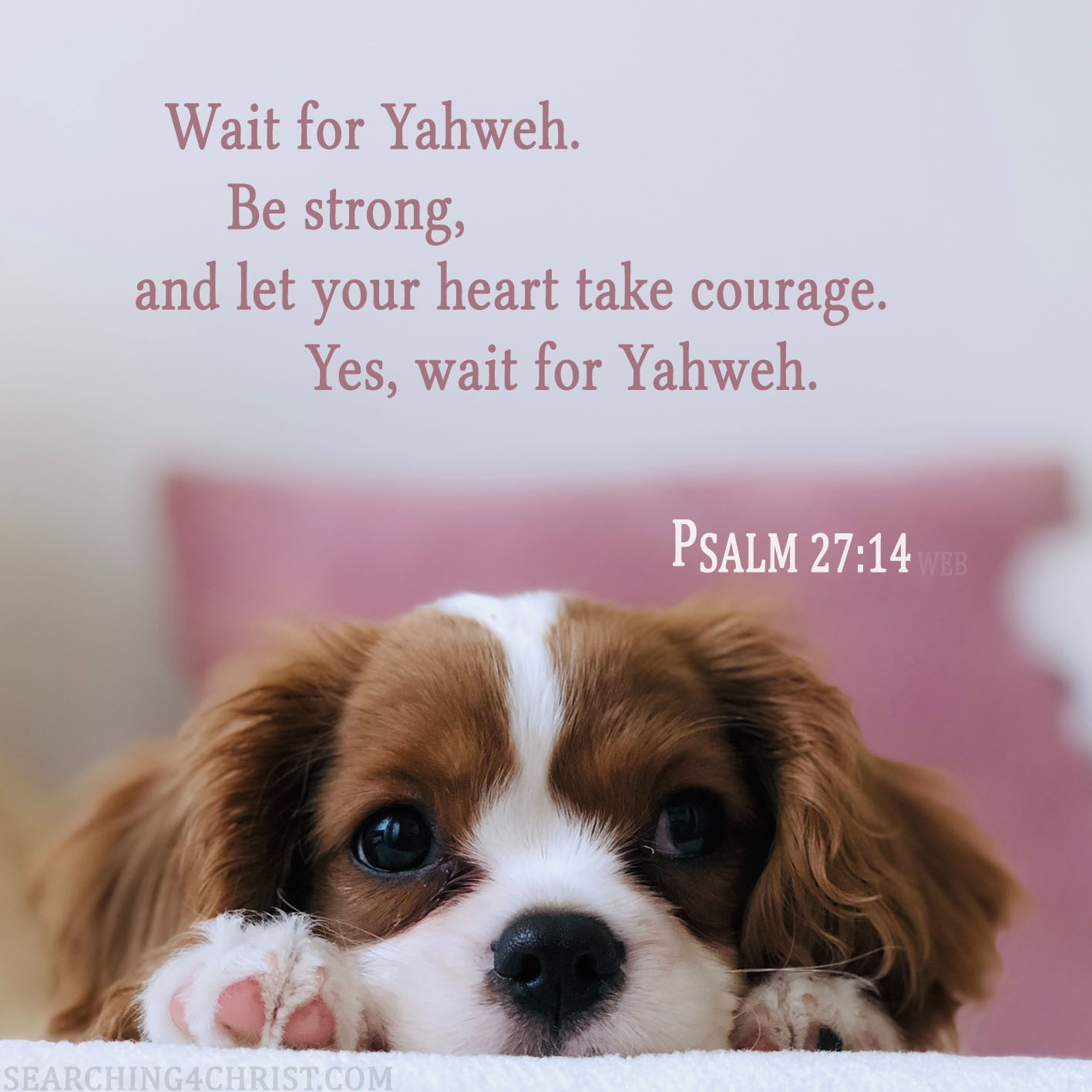 Wait for Yahweh. Be strong, and let your heart take courage. Yes, wait for Yahweh. Psalm 27:14