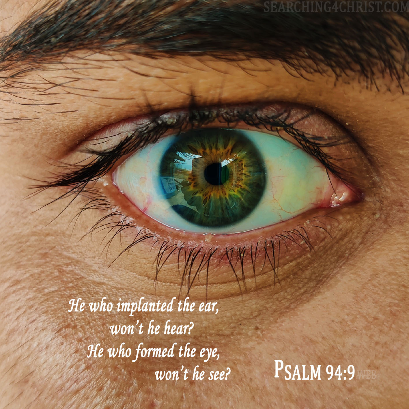 He who implanted the ear, won’t he hear? He who formed the eye, won’t he see? Psalm 94:9