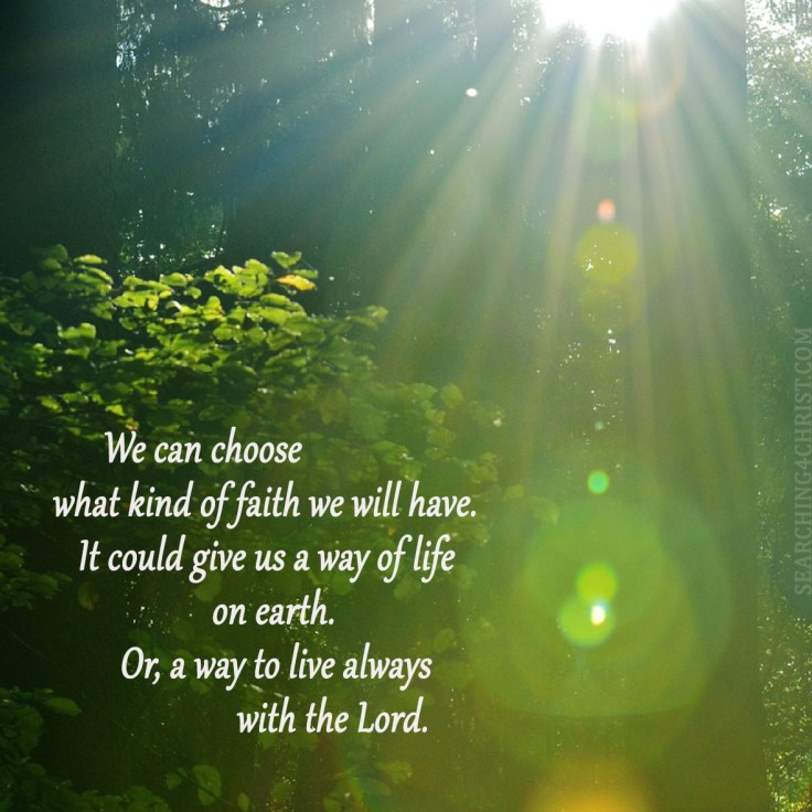 We can choose what kind of faith we will have. It could give us a way of life on earth. Or, a way to live always with the Lord.